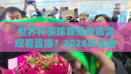 世界杯买球赛免费高清观看直播？2026年这些渠道让你不花钱看高清