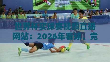 世界杯买球赛视频直播网站：2026年看球、竞猜与实用避坑指南