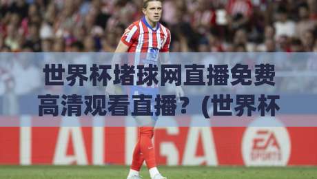 世界杯堵球网直播免费高清观看直播?(世界杯堵球网)2026看球新姿势!