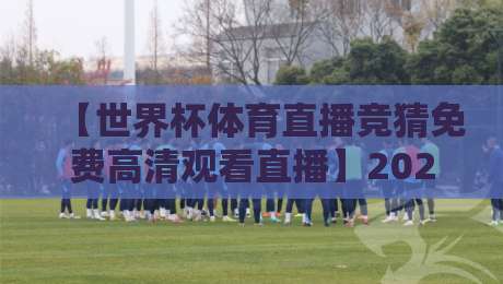 【世界杯体育直播竞猜免费高清观看直播】2026年观赛新姿势:这些平台让你一次过足瘾