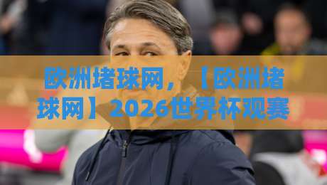欧洲堵球网，【欧洲堵球网】2026世界杯观赛新选择？无插件直播与专业评球全解析