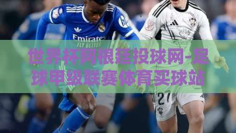 世界杯阿根廷投球网-足球甲级联赛体育买球站：2026年球迷必知的五大真相