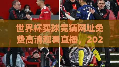 世界杯买球竞猜网址免费高清观看直播,2026年观赛新选择(世界杯高清直播)