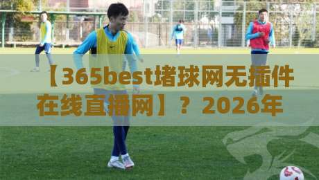 【365best堵球网无插件在线直播网】?2026年观赛新姿势,无插件直播体验大揭秘