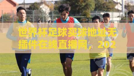 世界杯足球买球地址无插件在线直播网，2026观赛新选择！一步到位（关键词）