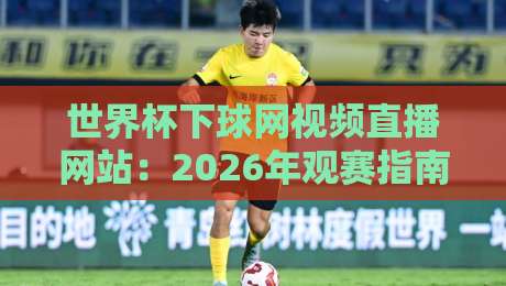 世界杯下球网视频直播网站：2026年观赛指南与避坑攻略