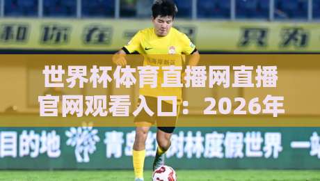 世界杯体育直播网直播官网观看入口：2026年球迷必藏的观赛通道全解析