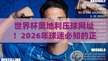 世界杯奥地利压球网址！2026年球迷必知的正规平台指南