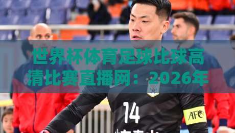 世界杯体育足球比球高清比赛直播网：2026年观赛新选择，高清流畅体验！
