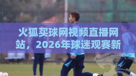 火狐买球网视频直播网站，2026年球迷观赛新体验：不止是直播这么简单！