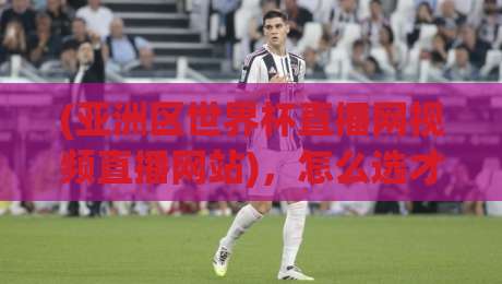 (亚洲区世界杯直播网视频直播网站)，怎么选才不踩坑？2026年观赛指南
