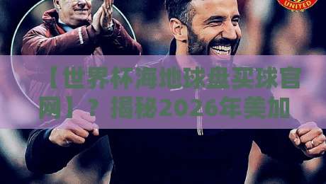 【世界杯海地球盘买球官网】？揭秘2026年美加墨世界杯期间那些“海地球盘”的套路与陷阱