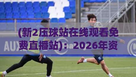 (新2压球站在线观看免费直播站)：2026年资深球迷私藏的6个硬核技巧，你Get了吗？