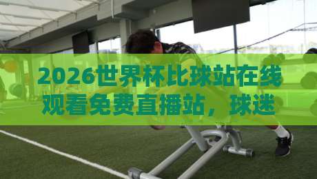 2026世界杯比球站在线观看免费直播站，球迷必知的五大观赛秘籍