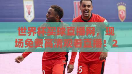世界杯买球直播网，现场免费高清观看直播！2026观赛必备指南
