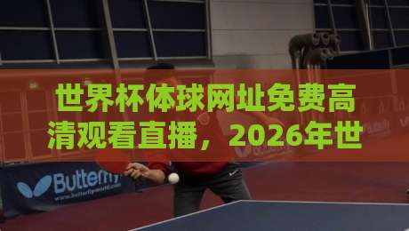世界杯体球网址免费高清观看直播，2026年世界杯观赛指南与实用网址推荐