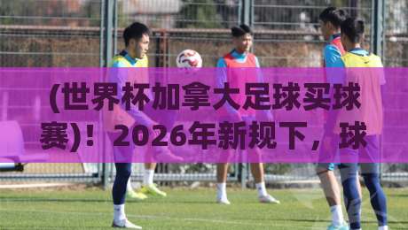 (世界杯加拿大足球买球赛)！2026年新规下，球迷该怎么玩才不踩坑？