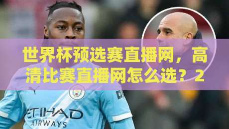 世界杯预选赛直播网，高清比赛直播网怎么选？2026年球迷的真实体验分享