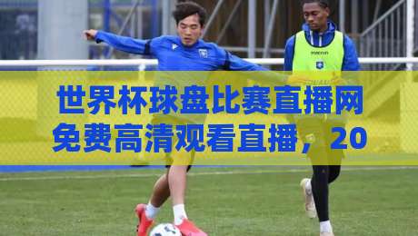 世界杯球盘比赛直播网免费高清观看直播，2026年球迷必收的4个隐秘渠道