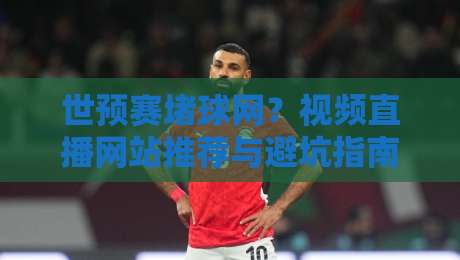 世预赛堵球网？视频直播网站推荐与避坑指南（世预赛堵球网视频直播网站）