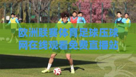 欧洲联赛体育足球压球网在线观看免费直播站：2026年球迷必备的观赛指南