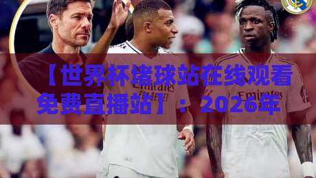 【世界杯堵球站在线观看免费直播站】：2026年球迷必备的观赛指南与避坑攻略