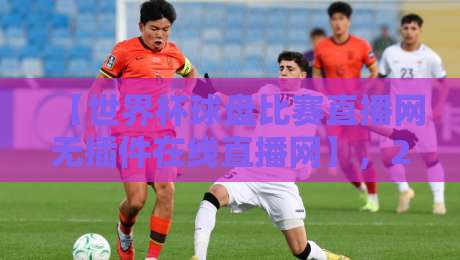 【世界杯球盘比赛直播网无插件在线直播网】，2026球迷必备的观赛利器