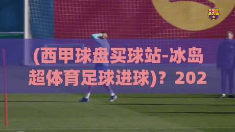 (西甲球盘买球站-冰岛超体育足球进球)？2026年冰岛超观赛与数据深度解析