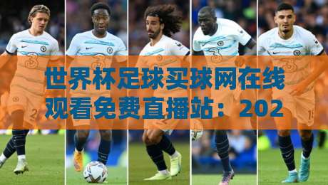 世界杯足球买球网在线观看免费直播站：2026年最新观赛指南与安全提醒