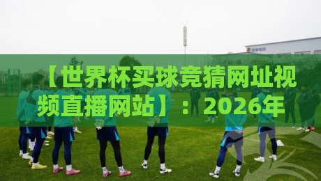 【世界杯买球竞猜网址视频直播网站】：2026年观赛与合法竞猜的避坑指南