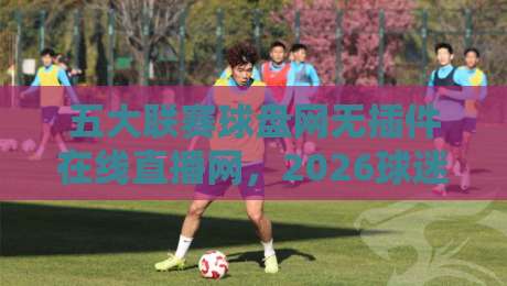 五大联赛球盘网无插件在线直播网,2026球迷最稳的观赛选择!
