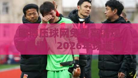 欧博压球网免费高清观看直播,2026年球迷福利大揭秘!