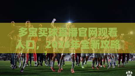 多宝买球直播官网观看入口，2026年全新攻略与避坑指南