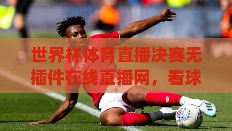 世界杯体育直播决赛无插件在线直播网，看球就该这么爽！(2026世界杯决赛观赛指南)