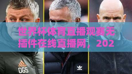 世界杯体育直播观赛无插件在线直播网，2026球迷的终极福利！