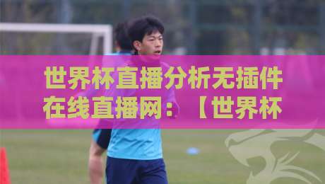 世界杯直播分析无插件在线直播网：【世界杯直播分析无插件在线直播网】2026年观赛新姿势