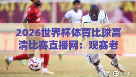 2026世界杯体育比球高清比赛直播网：观赛老司机带你解锁新玩法