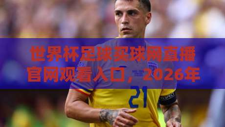 世界杯足球买球网直播官网观看入口,2026年最新指南来了!