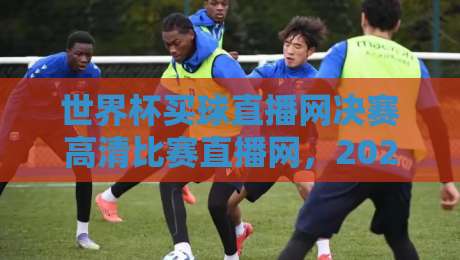 世界杯买球直播网决赛高清比赛直播网，2026年看球新姿势！