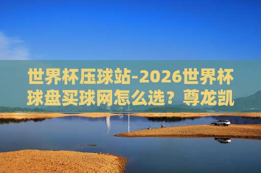 世界杯厄瓜多尔比球赛-金杯体育堵球，2026年预选赛看点大揭秘