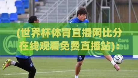 (世界杯体育直播网比分在线观看免费直播站):2026年球迷必备的五大观赛法宝