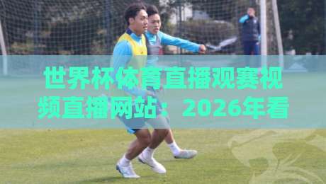 世界杯体育直播观赛视频直播网站：2026年看球，你选对平台了吗？