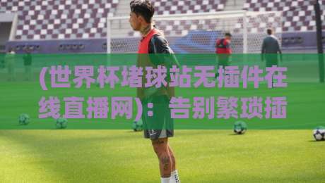 (世界杯堵球站无插件在线直播网):告别繁琐插件,2026年世界杯高清免费观赛全攻略