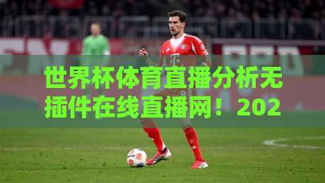 世界杯体育直播分析无插件在线直播网!2026观赛新宝藏,告别卡顿与广告【世界杯体育直播分析无插件在线直播网】资深球迷亲测