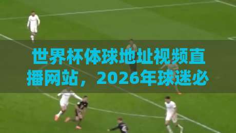 世界杯体球地址视频直播网站,2026年球迷必看的五大平台推荐!