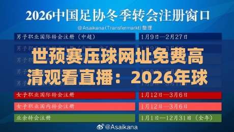 世预赛压球网址免费高清观看直播：2026年球迷必备的观赛指南与避坑技巧