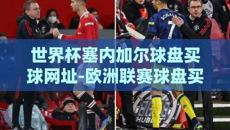 世界杯塞内加尔球盘买球网址-欧洲联赛球盘买球网，2026年球迷防坑指南与实用技巧