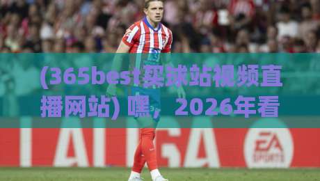 (365best买球站视频直播网站) 嘿,2026年看球新姿势:为什么老球迷都在偷偷用这个平台?
