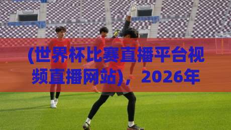 (世界杯比赛直播平台视频直播网站),2026年观赛指南:哪些平台真正值得看?