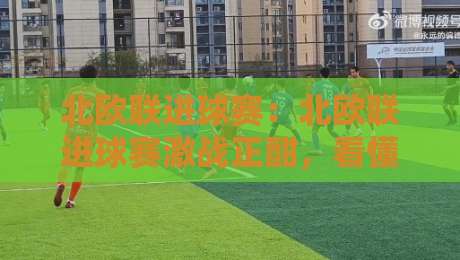 北欧联进球赛：北欧联进球赛激战正酣，看懂进攻浪潮背后的战术密码与观赛门道-最大权威网页进球站观看解说让球盘高清技巧预选